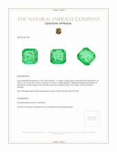 3.70 Ct. Emerald from Zambia Appraisal