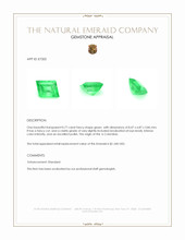 0.77 Ct. Emerald from Colombia Appraisal