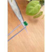1.49 Ct. Emerald from Zambia Life Style