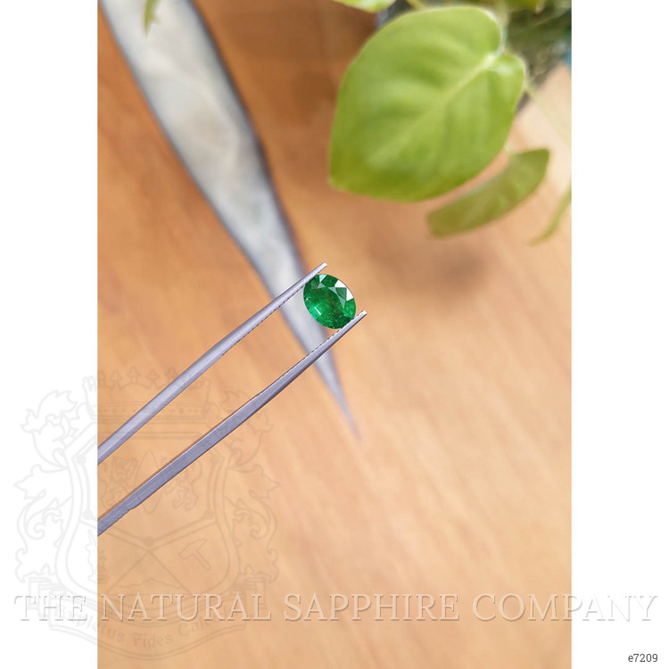 1.49 Ct. Emerald from Zambia