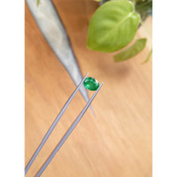 1.73 Ct. Emerald from Zambia Life Style