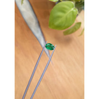 1.53 Ct. Emerald from Zambia Life Style