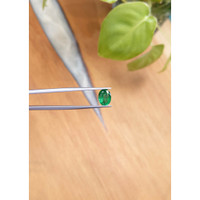 1.64 Ct. Emerald from Zambia Life Style