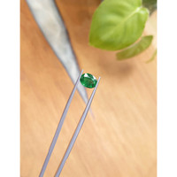 1.64 Ct. Emerald from Zambia Life Style
