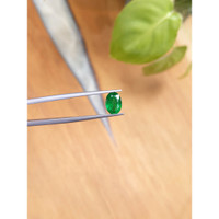 1.46 Ct. Emerald from Zambia Life Style