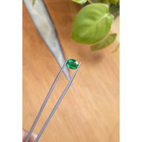 1.51 Ct. Emerald from Zambia Life Style