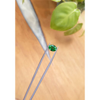 1.72 Ct. Emerald from Zambia Life Style