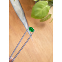 2.31 Ct. Emerald from Brazil Life Style