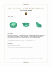 11.78 Ct. Emerald from Brazil Appraisal