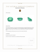 11.78 Ct. Emerald from Brazil Appraisal