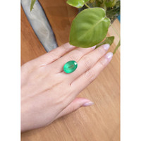 11.78 Ct. Emerald from Brazil Life Style