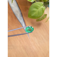11.78 Ct. Emerald from Brazil Life Style