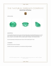6.05 Ct. Emerald from Brazil Appraisal