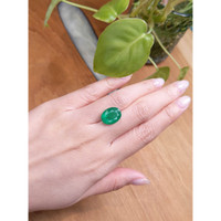 7.24 Ct. Emerald from Brazil Life Style