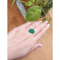 7.24 Ct. Emerald from Brazil Life Style