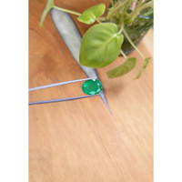 7.24 Ct. Emerald from Brazil Life Style