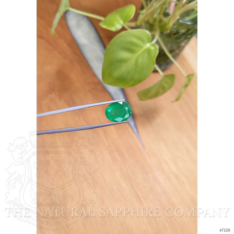 7.24 Ct. Emerald from Brazil