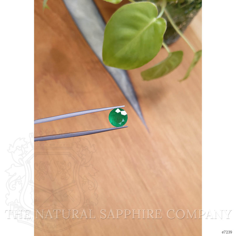 2.95 Ct. Emerald from Brazil
