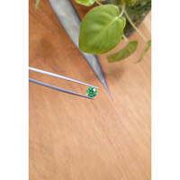 1.24 Ct. Emerald from Zambia Life Style