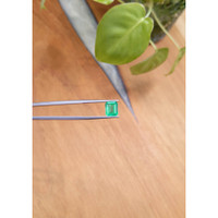 2.23 Ct. Emerald from Brazil Life Style
