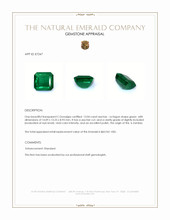 13.04 Ct. Emerald from Zambia Appraisal