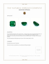 13.04 Ct. Emerald from Zambia Appraisal