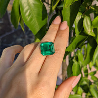 13.04 Ct. Emerald from Zambia Life Style