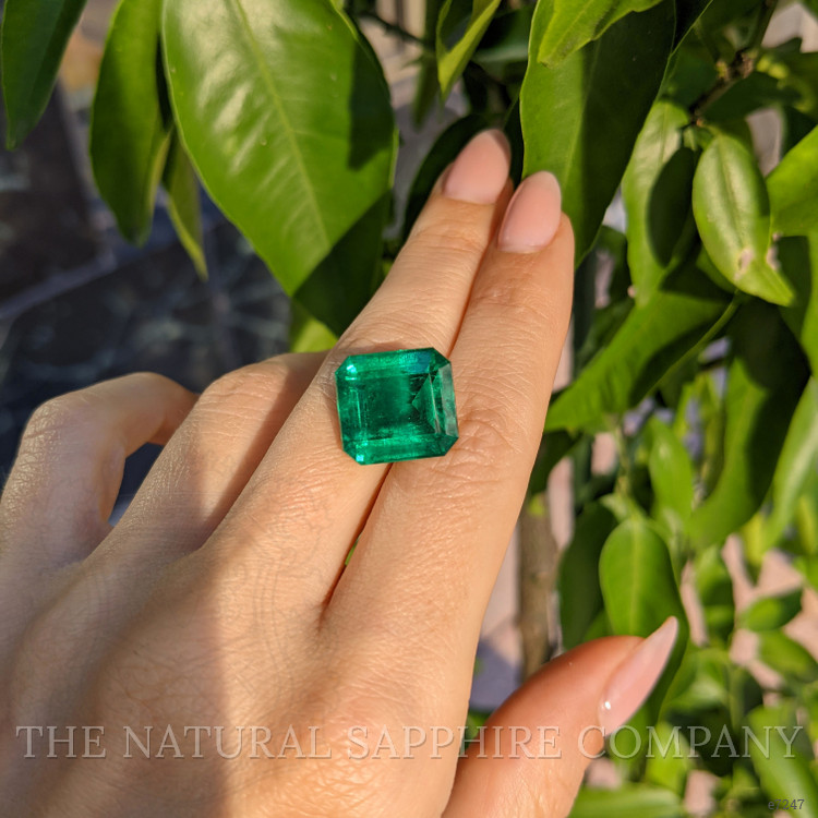 13.04 Ct. Emerald from Zambia