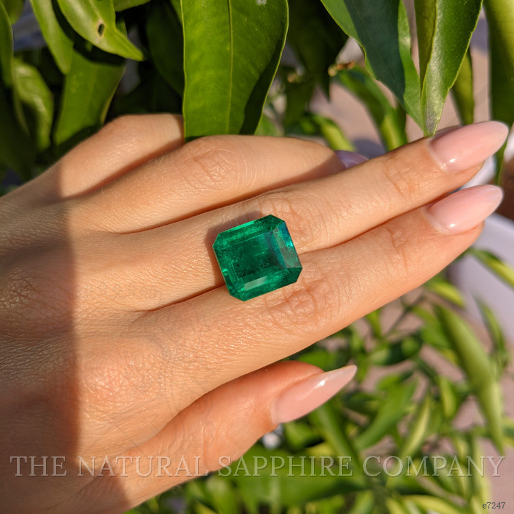 13.04 Ct. Emerald from Zambia