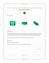 8.73 Ct. Emerald from Zambia Appraisal