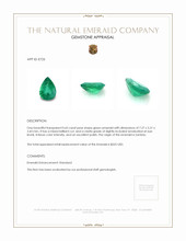 0.65 Ct. Emerald from Zambia Appraisal