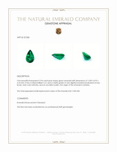 3.94 Ct. Emerald from Zambia Appraisal