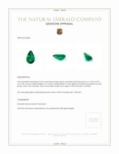 3.94 Ct. Emerald from Zambia Appraisal
