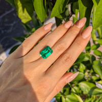 7.66 Ct. Emerald from Zambia Life Style