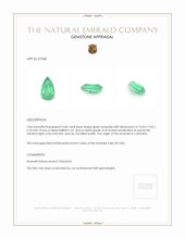 4.60 Ct. Emerald from Colombia Appraisal