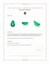 0.66 Ct. Emerald from Zambia Appraisal