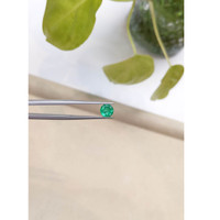 0.82 Ct. Emerald from Zambia Life Style
