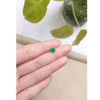 0.72 Ct. Emerald from Zambia Life Style