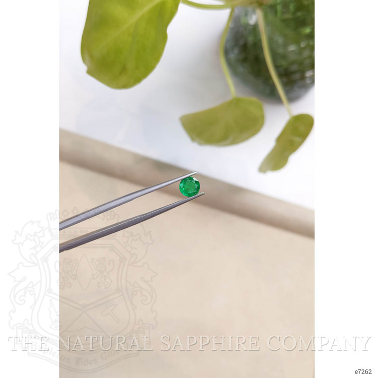0.72 Ct. Emerald from Zambia