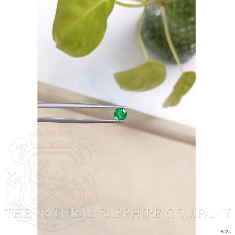 0.57 Ct. Emerald from Zambia