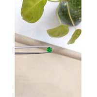 0.55 Ct. Emerald from Zambia Life Style