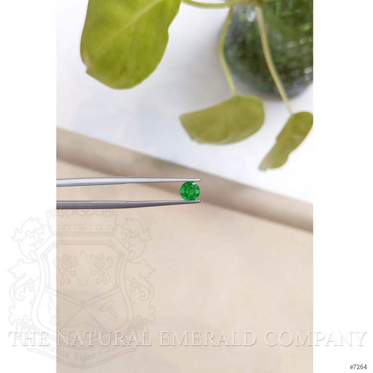 0.55 Ct. Emerald from Zambia