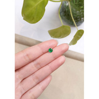 0.55 Ct. Emerald from Zambia Life Style