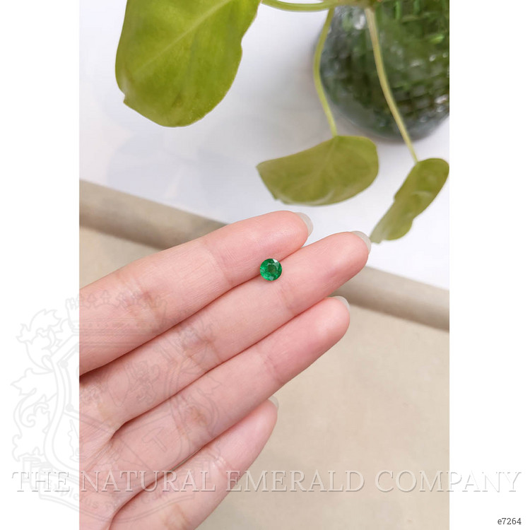 0.55 Ct. Emerald from Zambia