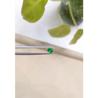 0.44 Ct. Emerald from Zambia Life Style