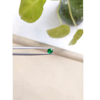 0.39 Ct. Emerald from Zambia Life Style