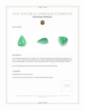 9.20 Ct. Cabochon Emerald from Zambia Appraisal