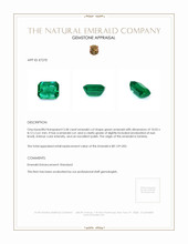 3.58 Ct. Emerald from Zambia Appraisal
