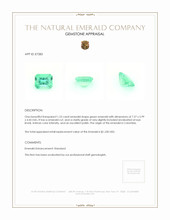 1.23 Ct. Emerald from Colombia Appraisal