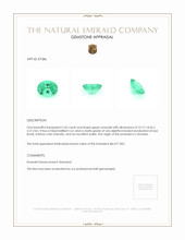 2.42 Ct. Emerald from Colombia Appraisal